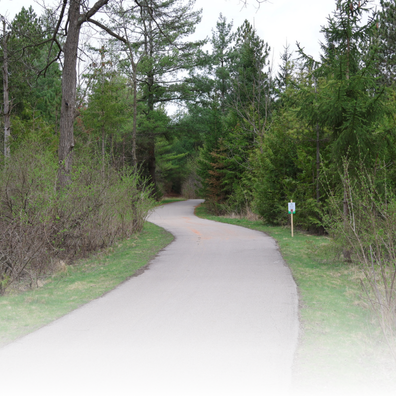 Paved path in a park. 